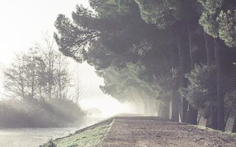 秋天早上问候诗