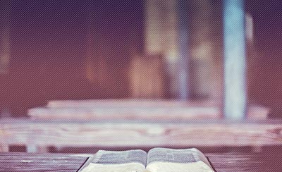 描写蝴蝶的优美句子