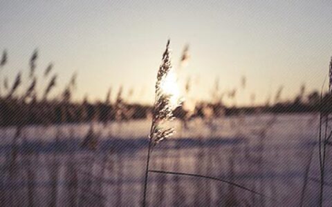 描写感恩老师的优美句子