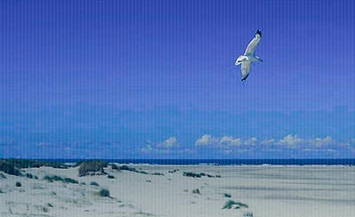 赞美国庆的句子