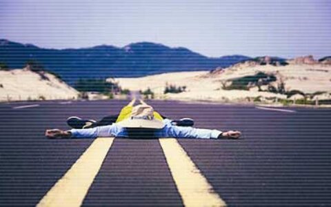 描写柳树的优美句子