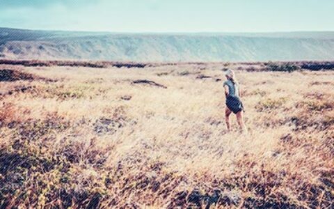 万圣节整人的祝福语