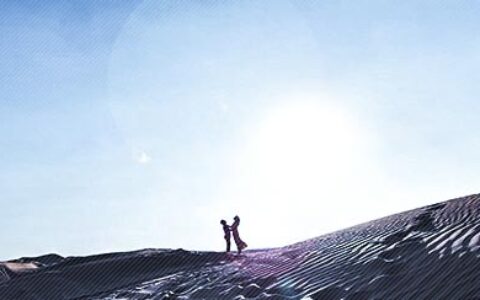 双十一光棍节幽默调侃祝福语