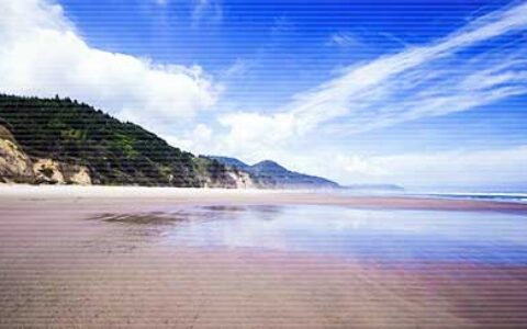 赞美医生的佳句