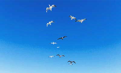 关于形容家人温馨的句子