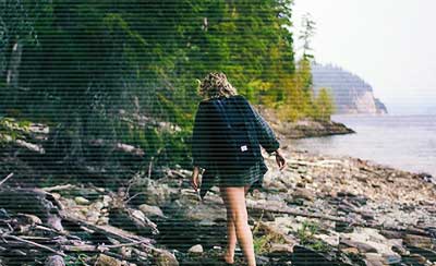 关于懦弱的佳句