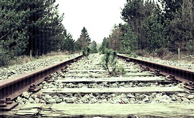 有关描写六月的佳句