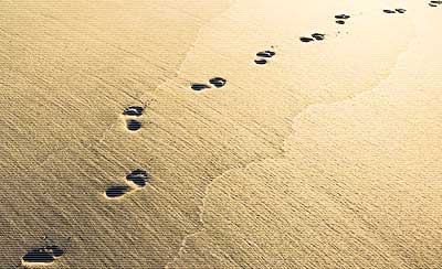 表达等一个人的句子