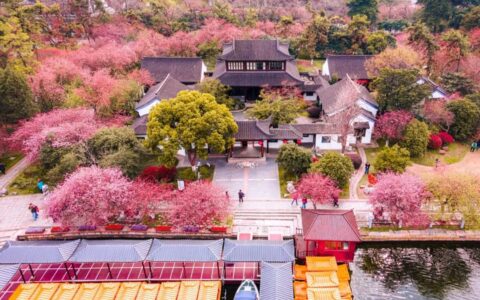 清明节的诗句有哪些（关于清明节的古诗大全）