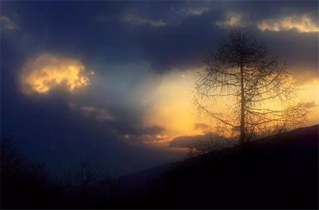 关于珍惜时间的诗句有哪些（时光匆匆的唯美句子）