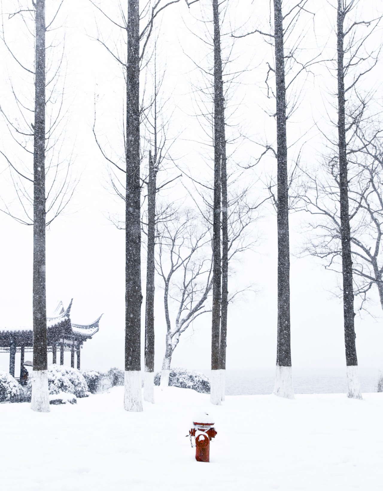赞美雪的诗句古诗（形容雪很美的诗句鉴赏）