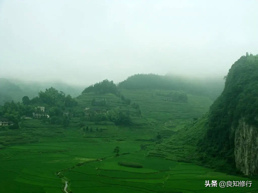 王维的山水田园诗有哪些（王维的田园诗20首）