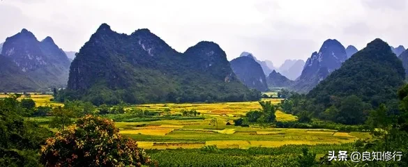 王维的山水田园诗有哪些（王维的田园诗20首）