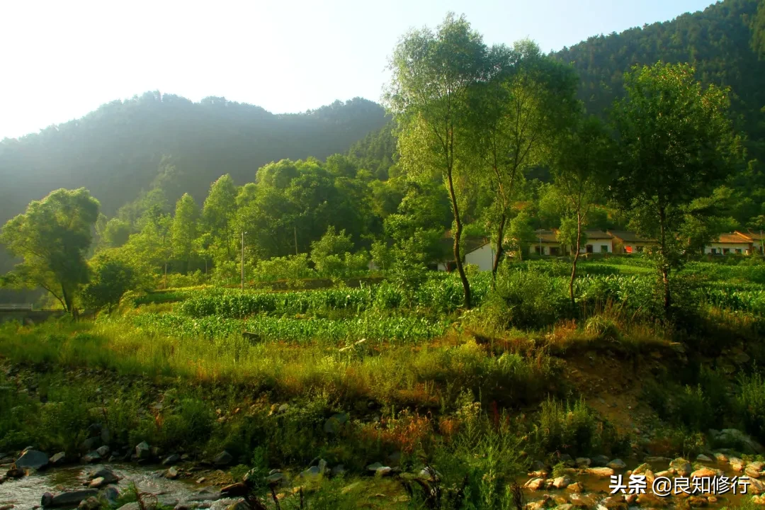 王维的山水田园诗有哪些（王维的田园诗20首）