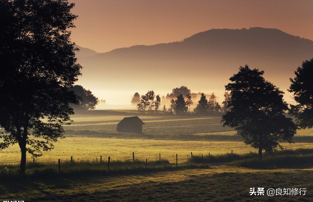 王维的山水田园诗有哪些（王维的田园诗20首）