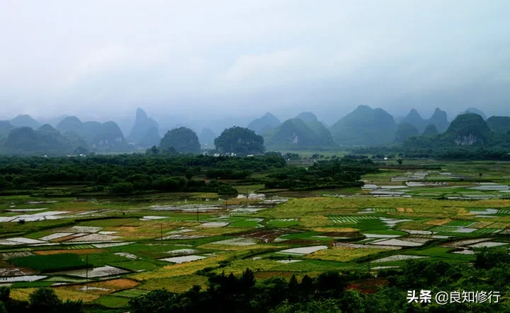 王维的山水田园诗有哪些（王维的田园诗20首）