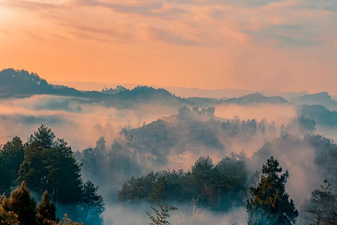 王安石的诗有哪些（王安石最著名的十首诗）