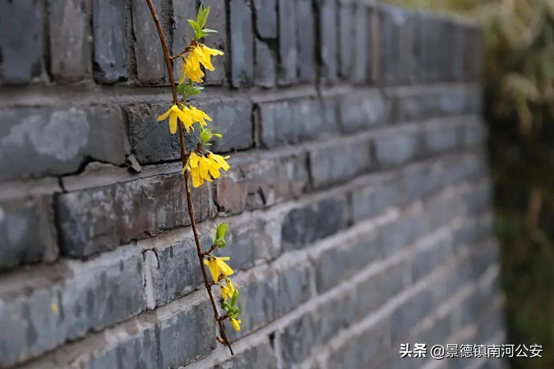 形容心情不好的诗句有哪些（心情难过低落的诗词）