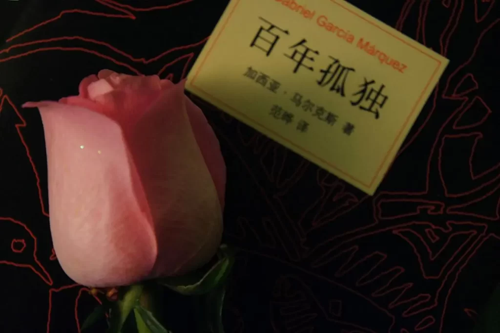 百年孤独读书心得（关于百年孤独读本心得感悟10篇）