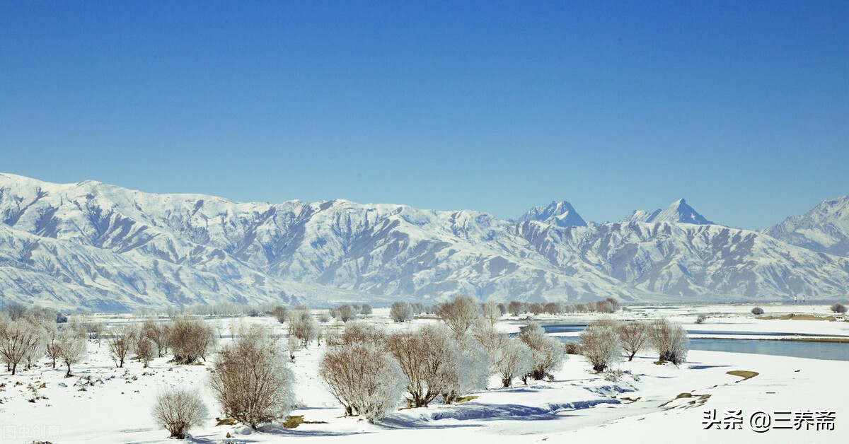 江雪古诗词的意思（柳宗元的江雪赏析）