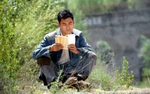 平凡的世界读后感800字（平凡的世界给人的启示）