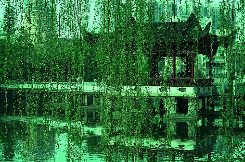 风的诗句古诗大全（带风的诗句飞花令）