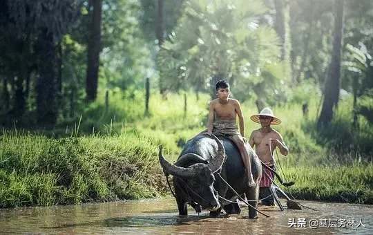 赞美劳动精神的古诗词有哪些（赞美劳动的诗句或名言）