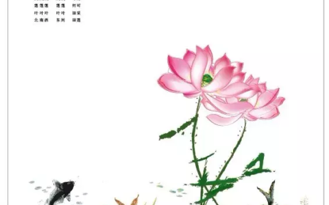 莲的古诗有哪些（描写莲花的古诗名句）