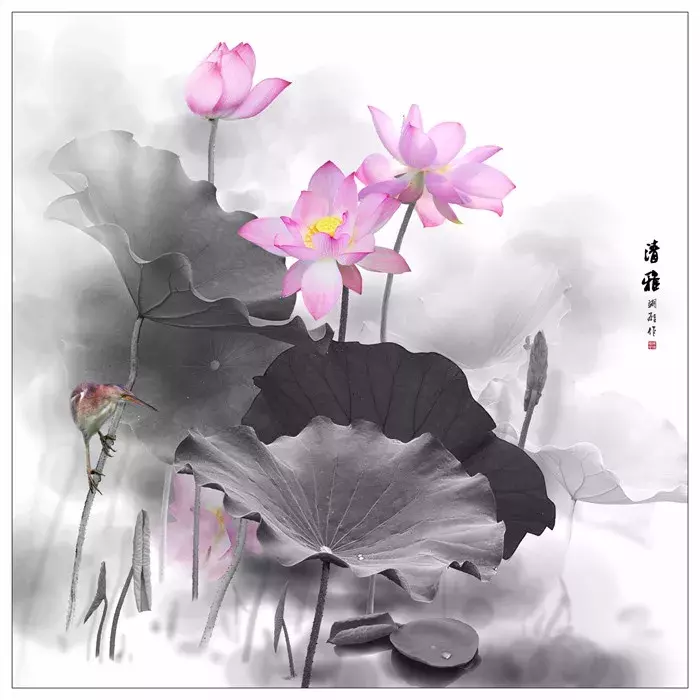 莲的古诗有哪些（描写莲花的古诗名句）