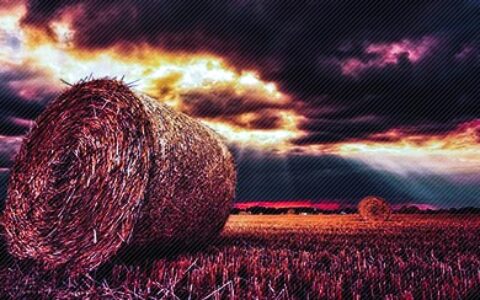 关于爱情的励志名言