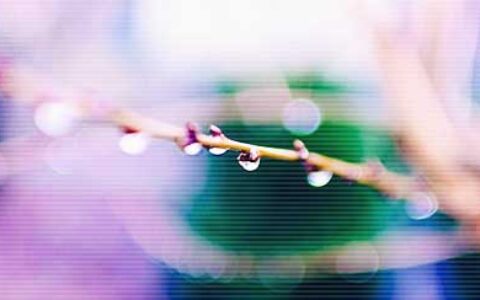 微信爱情座右铭精选