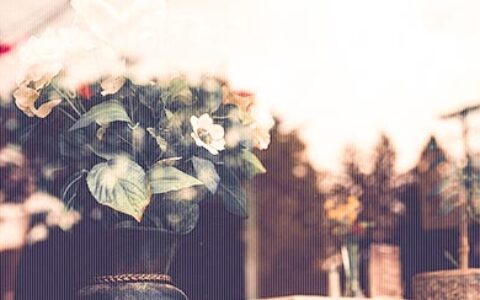 陆嘉妻爱情励志名言