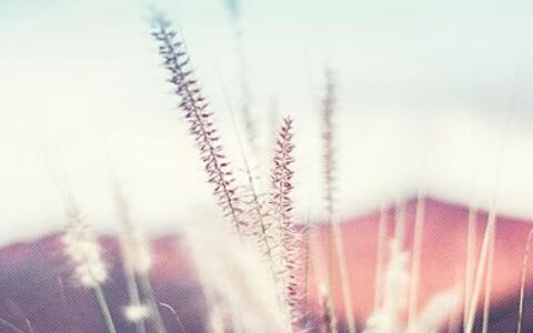 爱情格言精选鉴赏