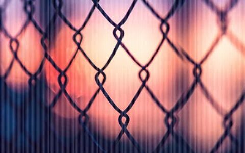 涂磊的爱情名言