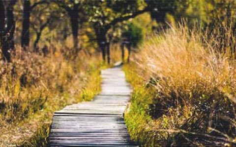 1句关于爱情的名言