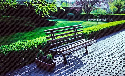 关于婚姻的名言名句