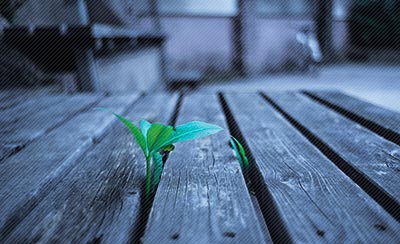 历史沉淀出来的经典爱情名言