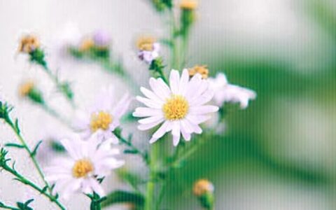 伤感爱情名言警句集锦