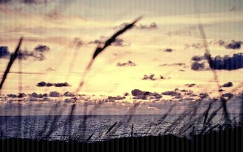 张爱玲的爱情宣言