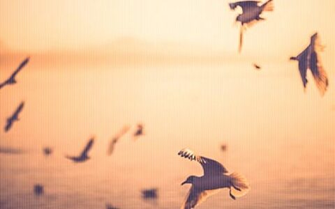 伤心爱情名言名句