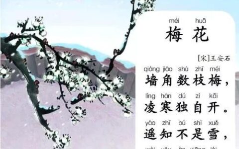 小学描写冬天的诗句有哪些（描写冬天的诗句分享）