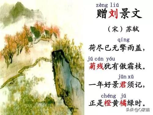 小学描写冬天的诗句有哪些（描写冬天的诗句分享）