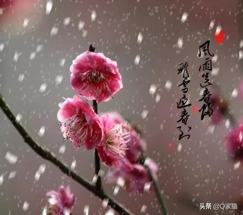 小学描写冬天的诗句有哪些（描写冬天的诗句分享）