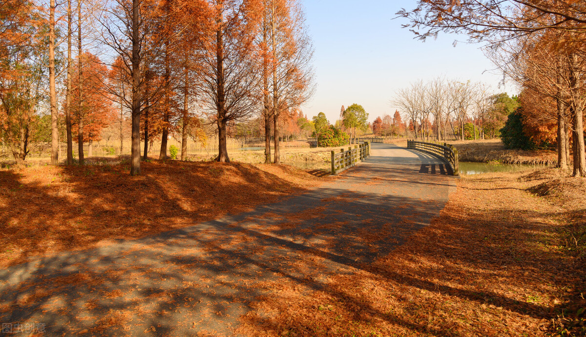 冬日暖阳岁月静好诗句（有关冬日暖阳的佳句）