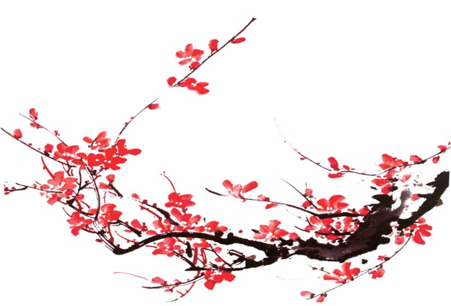 梅花王安石赏析（独山梅花王安石赏析）