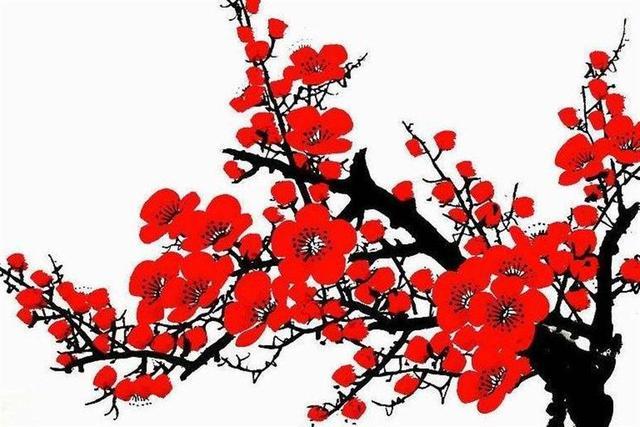 梅花王安石赏析（独山梅花王安石赏析）