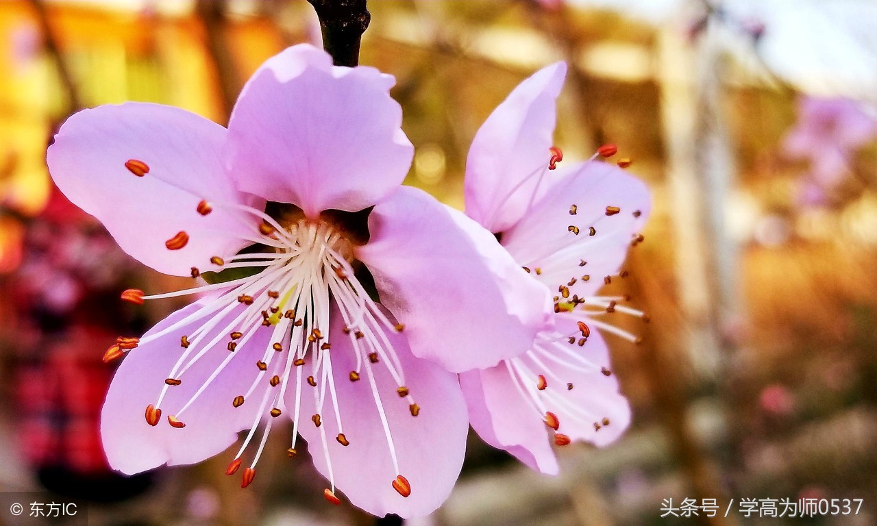 秋的词语有哪些（赞美秋天的词语）