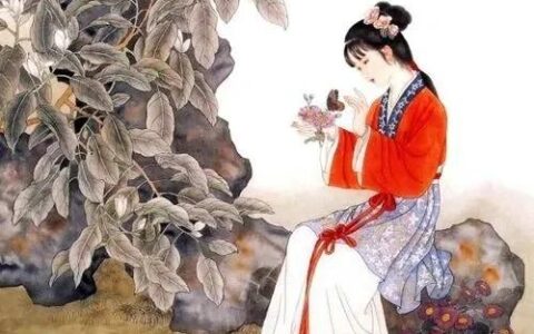 关于植物的诗歌现代诗（植物现代诗摘抄）