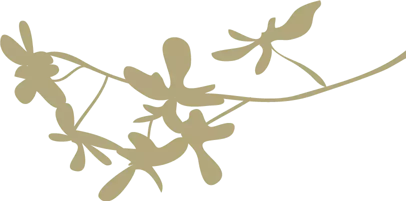描写月亮的古诗有哪些（月亮的经典诗词）