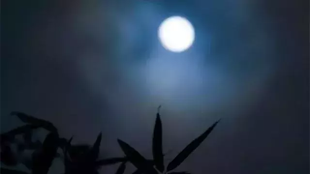 描写月亮的古诗有哪些（月亮的经典诗词）